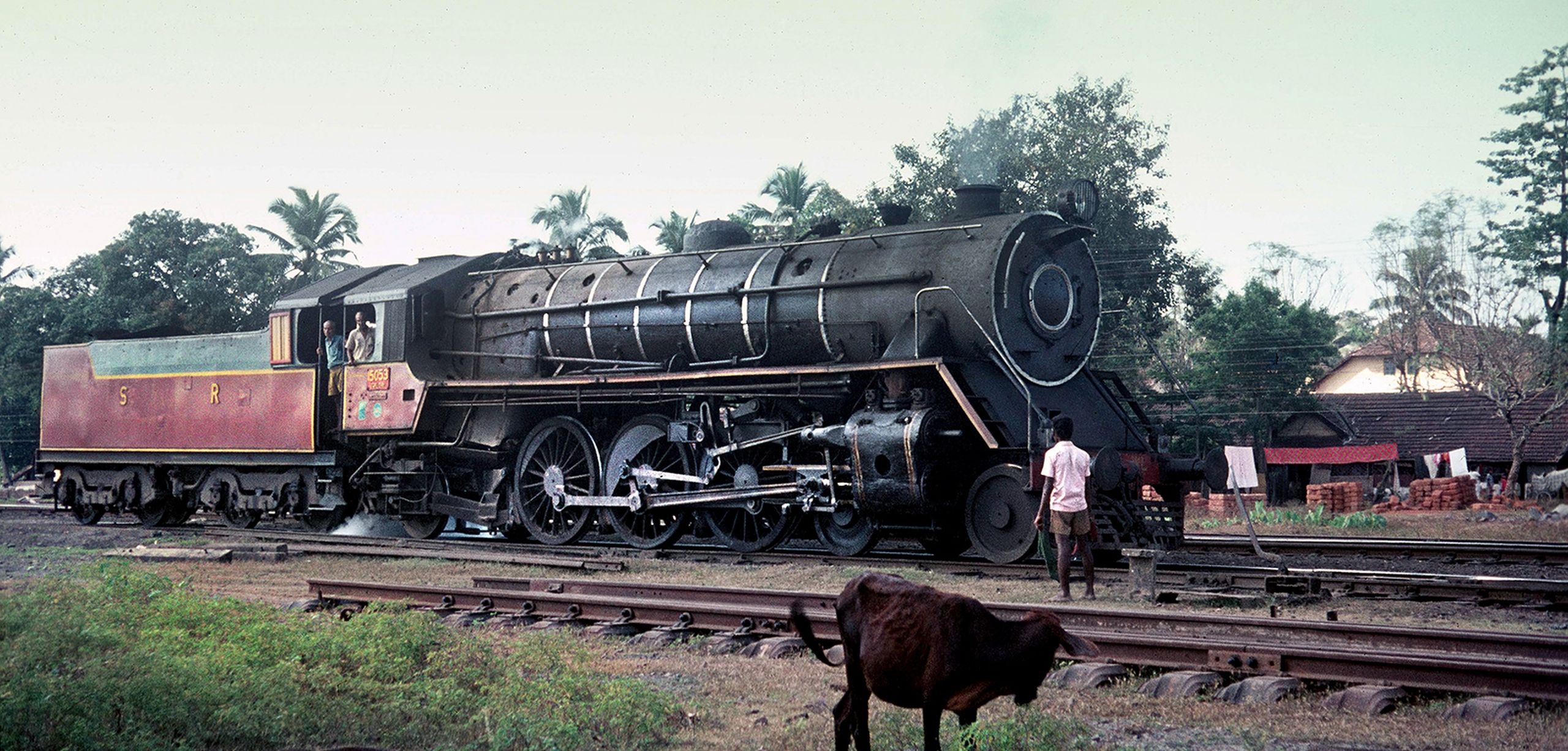 WL 15153 at Mangalore in November 1975